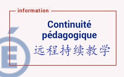 Logo Continuité pédagogique