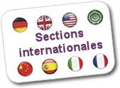 logo section internationale